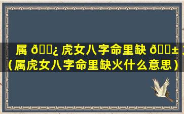 属 🌿 虎女八字命里缺 🐱 火（属虎女八字命里缺火什么意思）